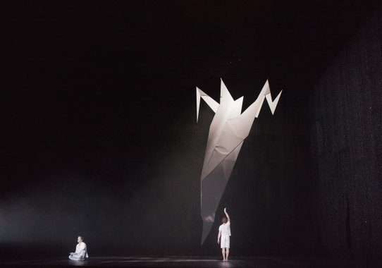 Le Petit Prince National Ballet of Canada