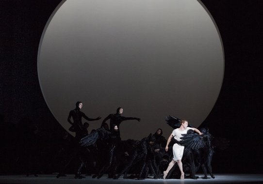 Le Petit Prince National Ballet of Canada