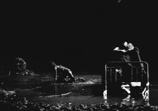 Midsummer Night's Dream National Theatre