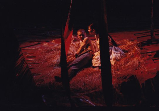 Spring Awakening
