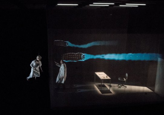 Wings Young Vic Theatre 2017