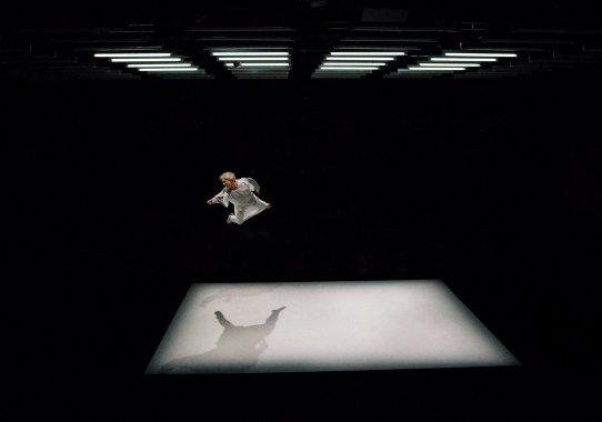 Wings Young Vic Theatre 2017