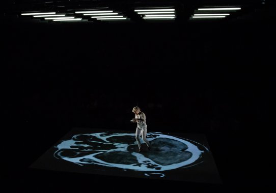 Wings Young Vic Theatre 2017