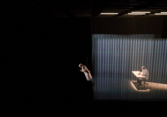 Wings Young Vic Theatre 2017