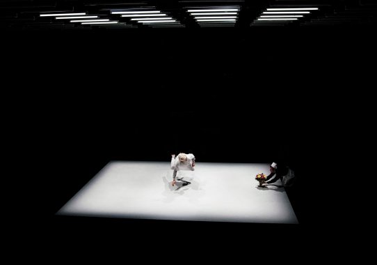 Wings Young Vic Theatre 2017